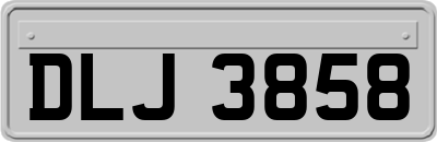 DLJ3858