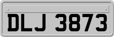 DLJ3873