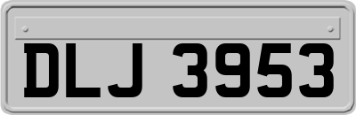 DLJ3953
