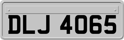 DLJ4065