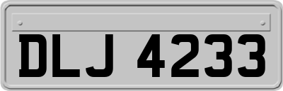 DLJ4233