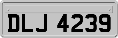DLJ4239