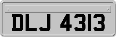 DLJ4313
