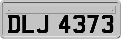 DLJ4373