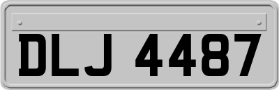 DLJ4487