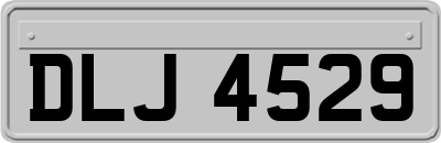 DLJ4529