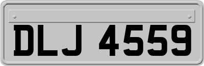 DLJ4559