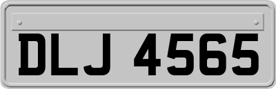 DLJ4565