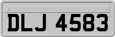 DLJ4583