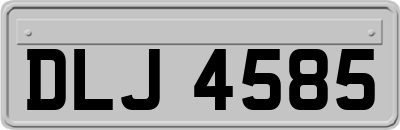 DLJ4585