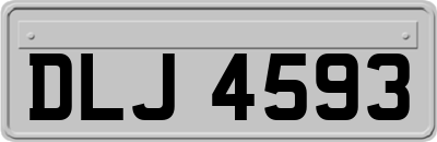 DLJ4593