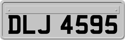 DLJ4595