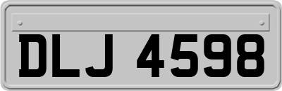DLJ4598