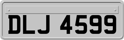 DLJ4599