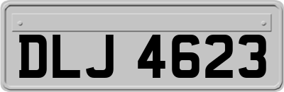 DLJ4623