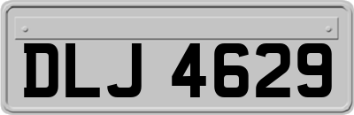 DLJ4629