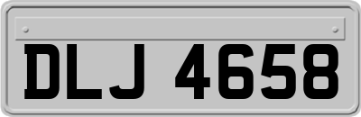 DLJ4658