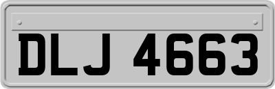 DLJ4663