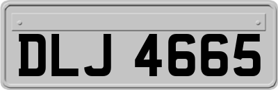 DLJ4665