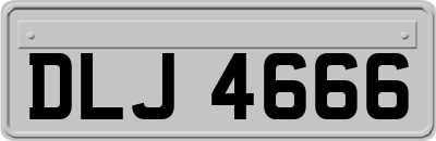 DLJ4666