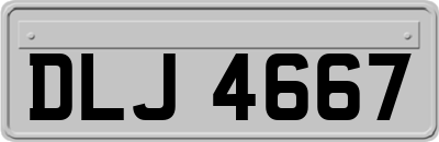 DLJ4667