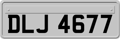 DLJ4677