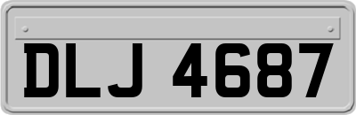 DLJ4687