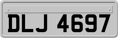 DLJ4697