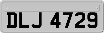 DLJ4729