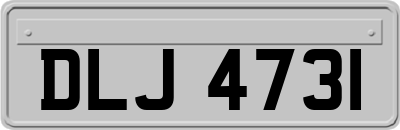 DLJ4731