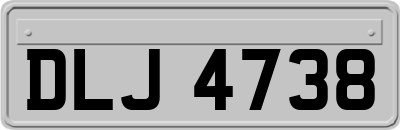 DLJ4738