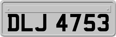 DLJ4753