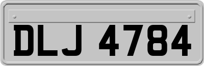 DLJ4784
