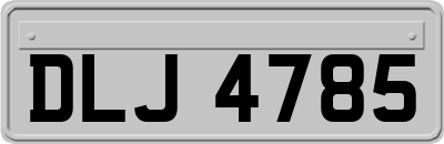 DLJ4785