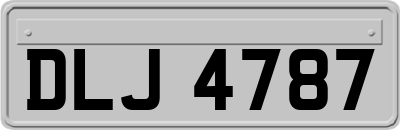 DLJ4787