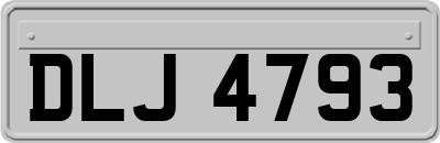DLJ4793