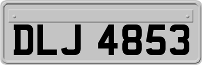 DLJ4853