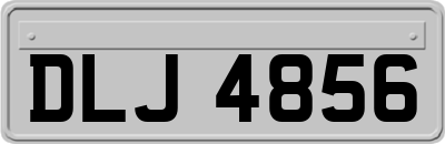 DLJ4856