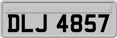 DLJ4857