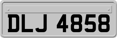 DLJ4858