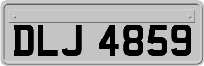 DLJ4859