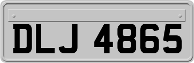 DLJ4865