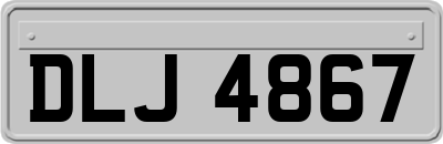 DLJ4867