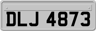 DLJ4873