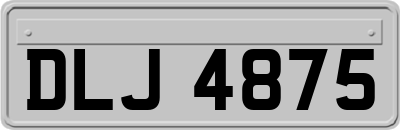 DLJ4875