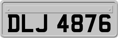 DLJ4876