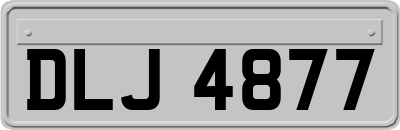 DLJ4877