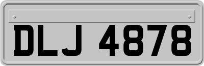 DLJ4878