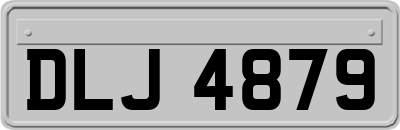 DLJ4879