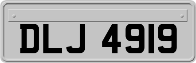 DLJ4919